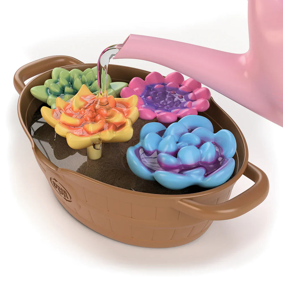 Rainbow Bloom - Color-Changing Activity Set