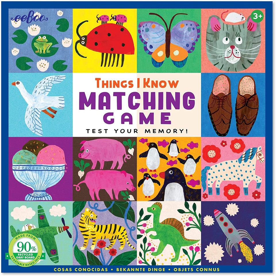 Things I Know Memory Game