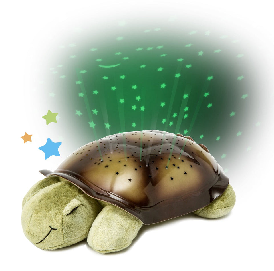 Twilight Turtle Classic