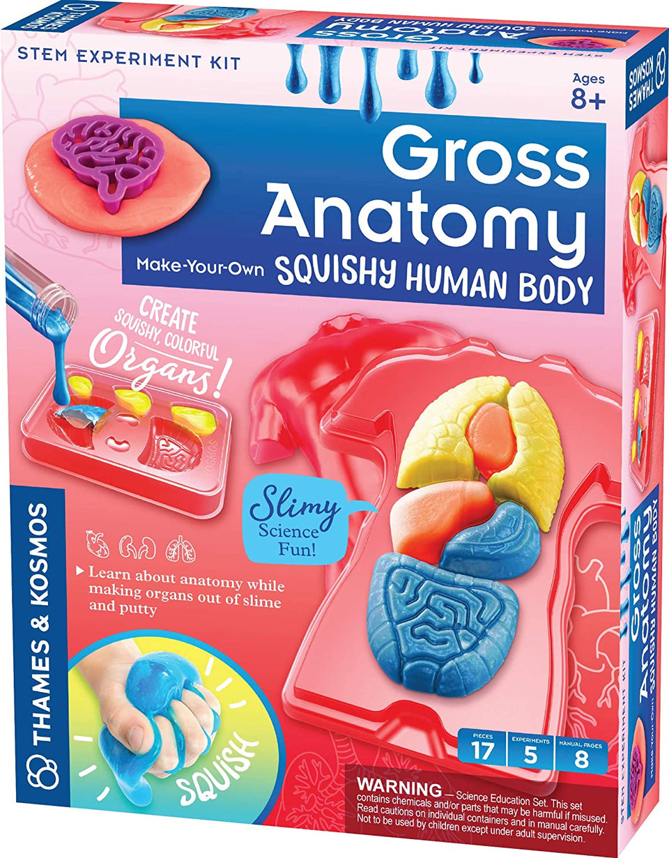 Gross Anatomy